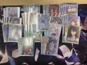 10.3 @hrccswsdbg.jpg