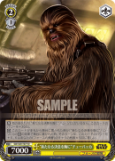 SW-S49-T07.png