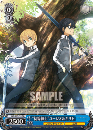 SAO-S65-T11.png