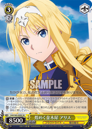 SAO-S65-009SR.png