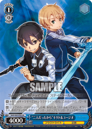 SAO-S65-P03.png