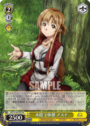 SAO-S100-P07.png