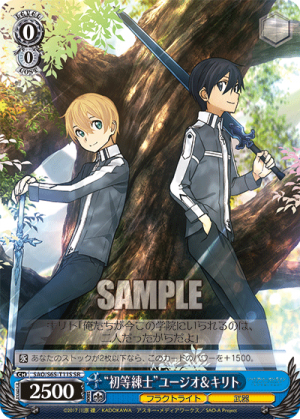 SAO-S65-T11SR.png