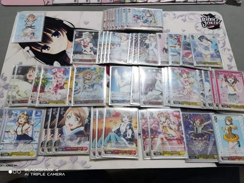 文件:9.26 @saffloershuituan.jpg