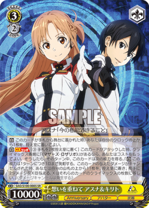 SAO-S100-008SR.png