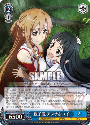 SAO-S100-081SR.png