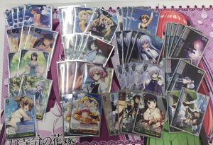 8.23 @PAOcard tati.jpg