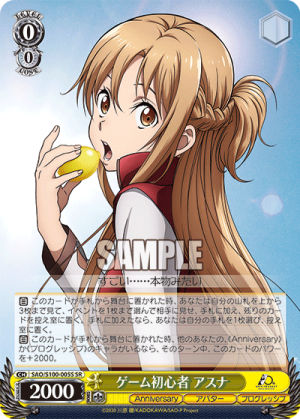 SAO-S100-005SR.png