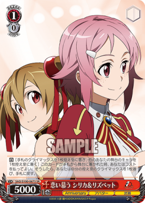 SAO-S100-067SR.png