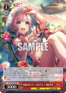 DJ-S97-073SR.png