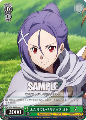 SAO-S100-046SR.png