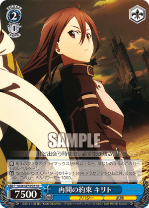 SAO-S47-P02.png