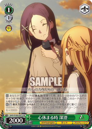 SAO-S100-047SR.png