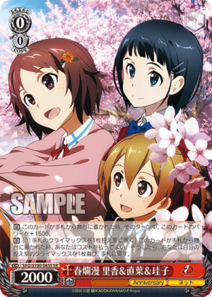 SAO-S100-065SR.png