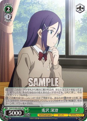 SAO-S100-049SR.png