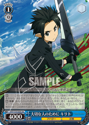 SAO-S20-080SR.png