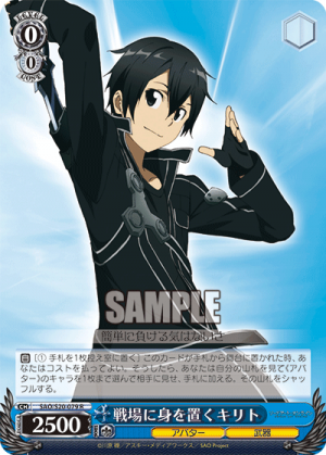 SAO-S20-079.png