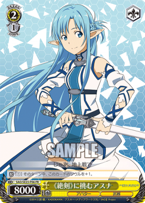 SAO-SE23-P06.png