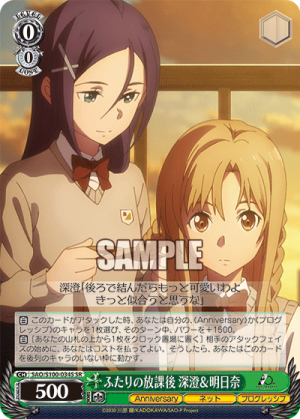 SAO-S100-034SR.png