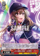 DJ-S97-071SR.png