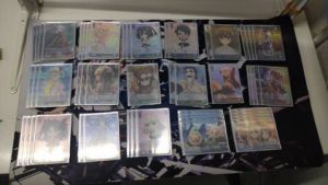 9.21 @Sakurajima WS.jpg