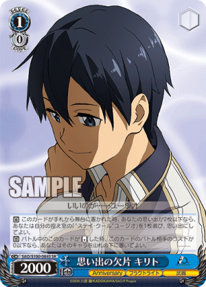 SAO-S100-084SR.png