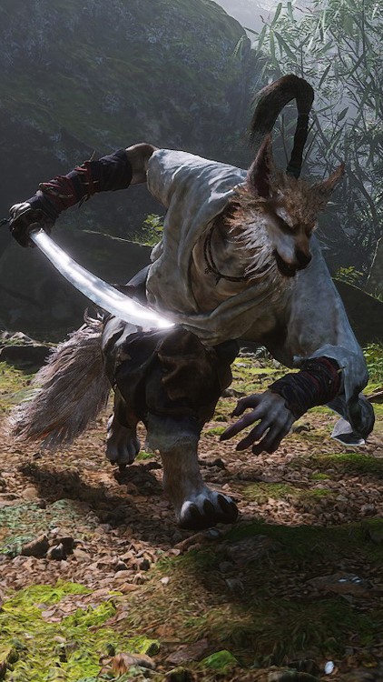 狼剑客的其他形象