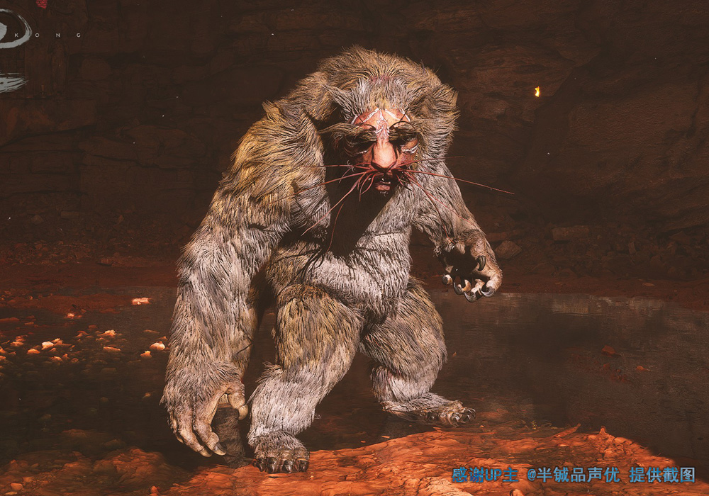 疯虎的其他形象