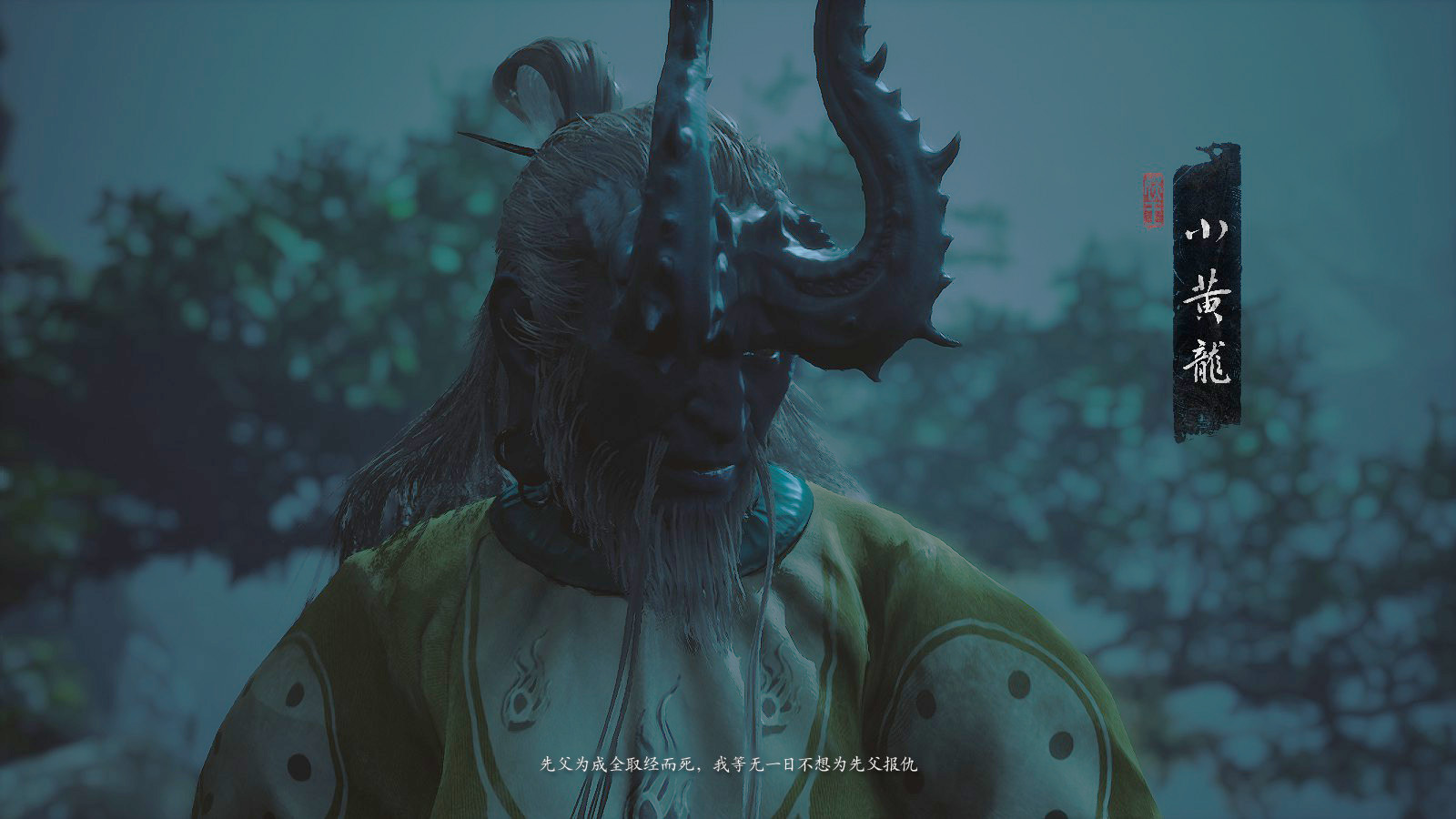 小黄龙的其他形象