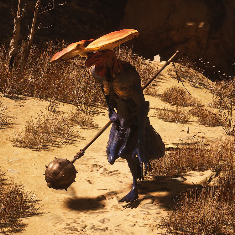 小灵芝精的其他形象