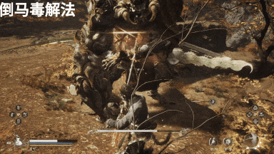 倒马毒解法.gif
