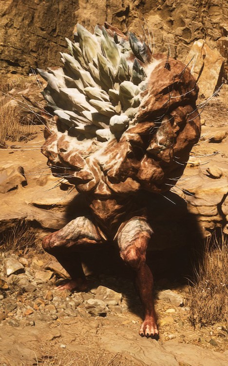 石苍苍的其他形象