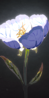 前尘影事封面4-勿听.png