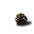药材-猴头菌-图标.png
