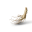 药材-老山参-图标.png