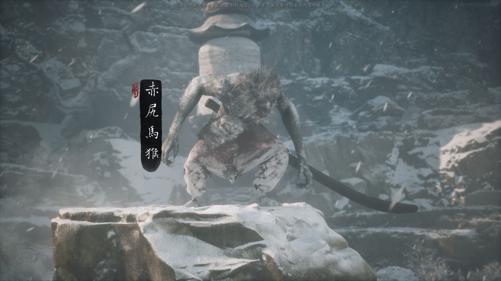 赤尻马猴的其他形象