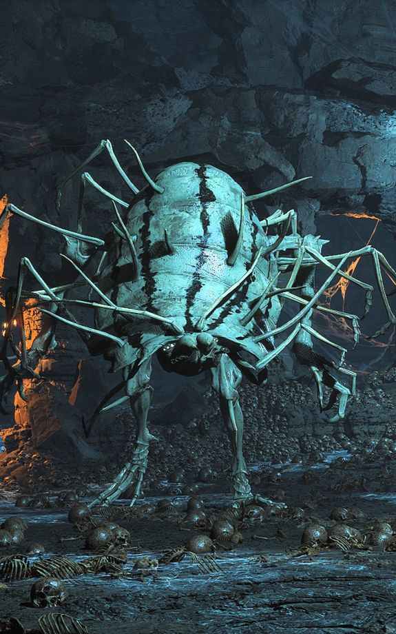 百足虫的其他形象