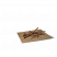 药材-甘草-图标.png