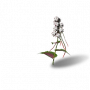 龙胆