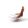 药材-千年人参-图标.png