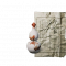 材料-登仙散-丹方.png