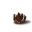 药材-葛蕈-图标.png