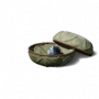 水玉丹