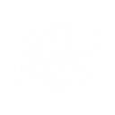 技能 露帕 延奏技能.png