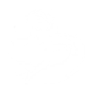 技能 布兰特 变奏技能.png