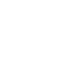技能 菲比 固有技能1.png