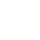 技能 弗洛洛 共鸣技能.png