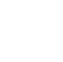 技能 布兰特 延奏技能.png