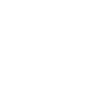 技能 达妮娅 共鸣技能.png