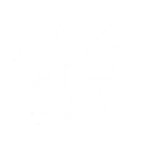技能 椿 变奏技能.png